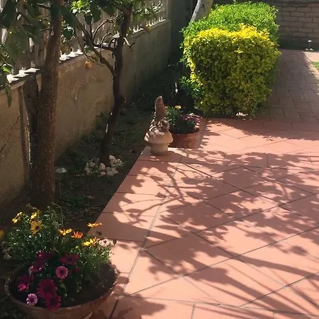 The Rooster * Fiumicino